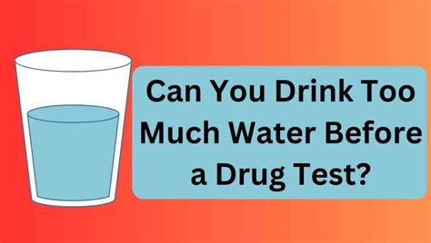 will 2 bottles of water dilute a drug test|how much water does a drug test cause.